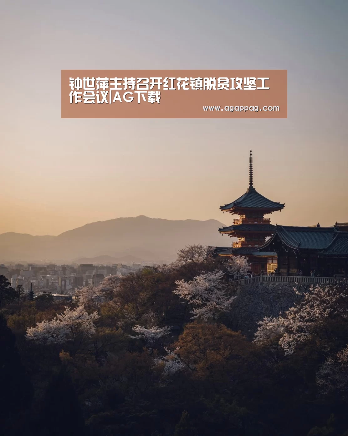 钟世萍主持召开红花镇脱贫攻坚工作会议|AG下载