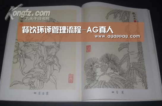 AG下载