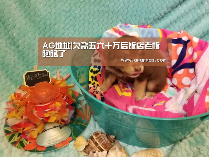 AG真人