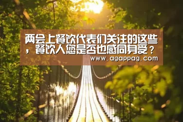 两会上餐饮代表们关注的这些，餐饮人您是否也感同身受？：AG地址(图3)